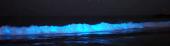 La bioluminiscencia y su aplicación en la ciencia